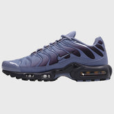 Nike Air Max Plus World Indigo