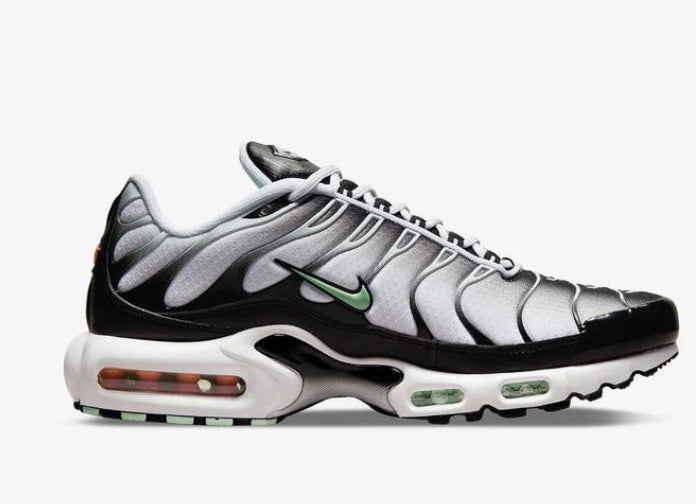 Air Max Plus - Seafoam Grey/Black Code - 350